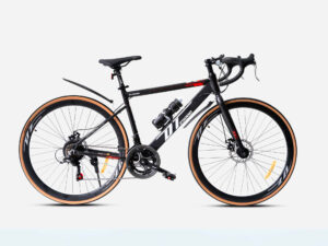 Xe Đạp đua - Road Bike - DT Z5000, Thiết kế tối ưu cho đường trường - Ảnh 2