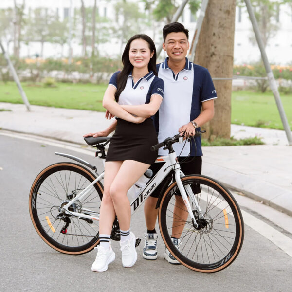 Xe đạp DT Z3000 – Khung nhôm dẹt thẳng, vành 27,5 lốp 700c