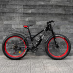 Xe đạp bánh béo DTZ Sport, Khung chắc, 21 tốc độ - Ảnh 2