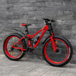 Xe đạp bánh béo DTZ Sport, Khung chắc, 21 tốc độ - Ảnh 7