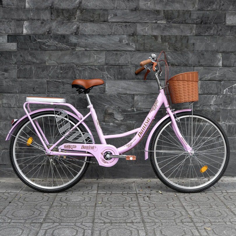 Xe đạp mini nữ - Ảnh 2