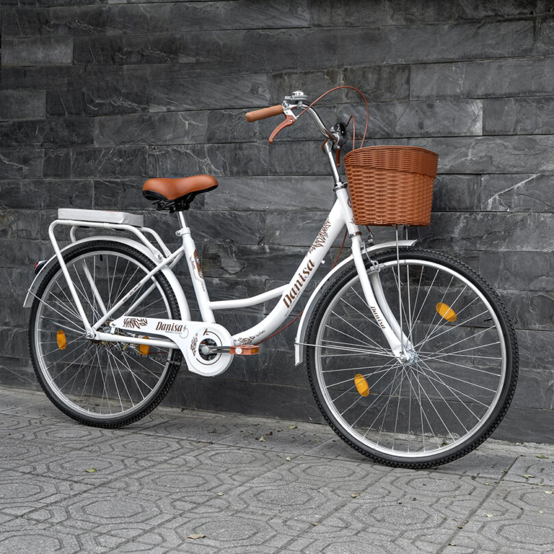 Xe đạp mini nữ - Ảnh 9