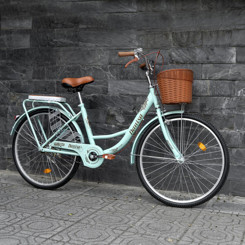 Xe đạp mini nữ - Ảnh 4