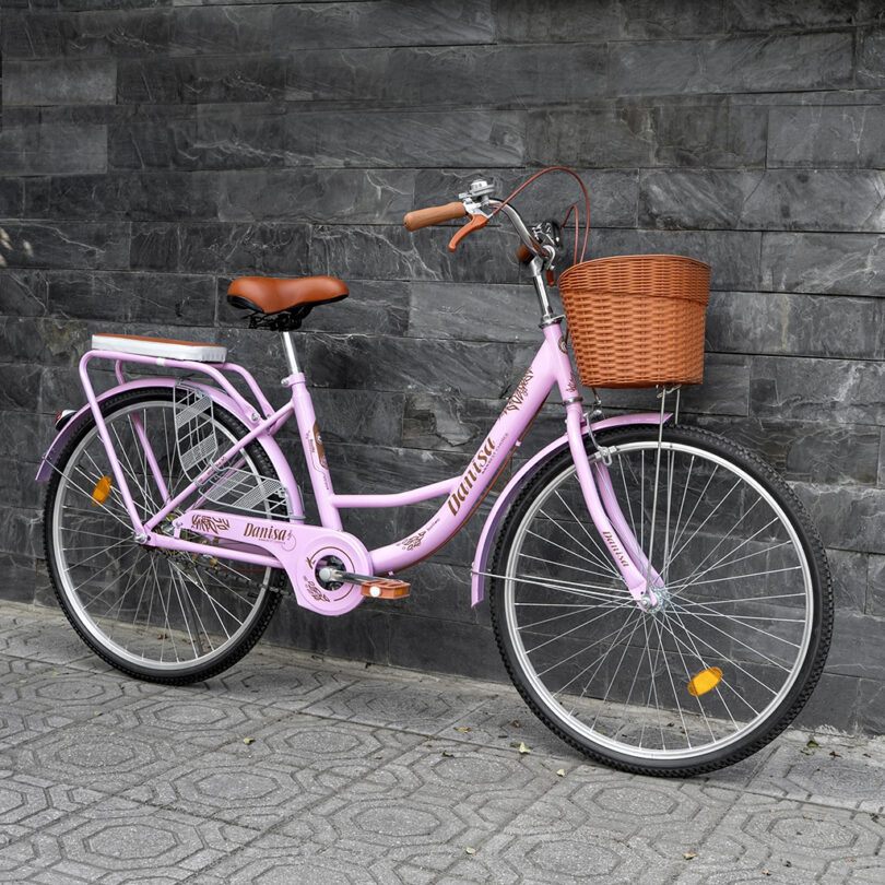 Xe đạp mini nữ - Ảnh 3